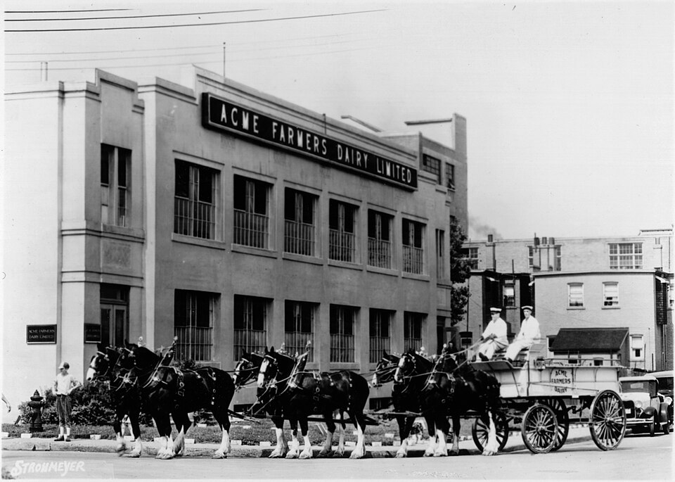 Illustration: Economic Freedom Through Limited Government