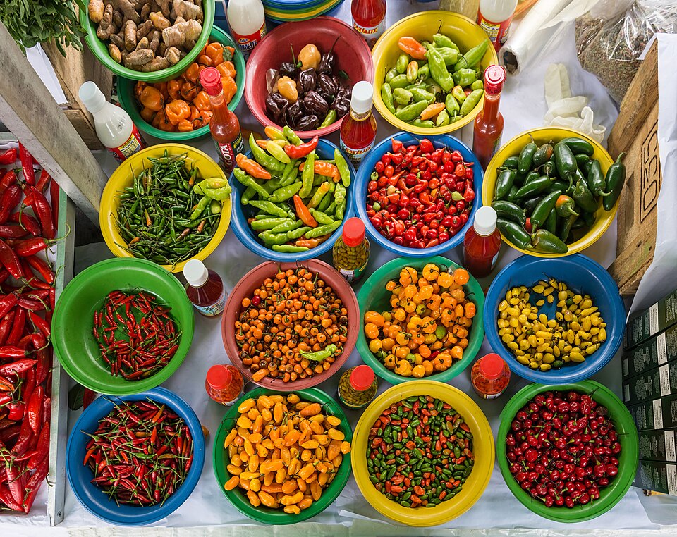 Illustration: Infrastructure Investment and Public-Private Partnerships