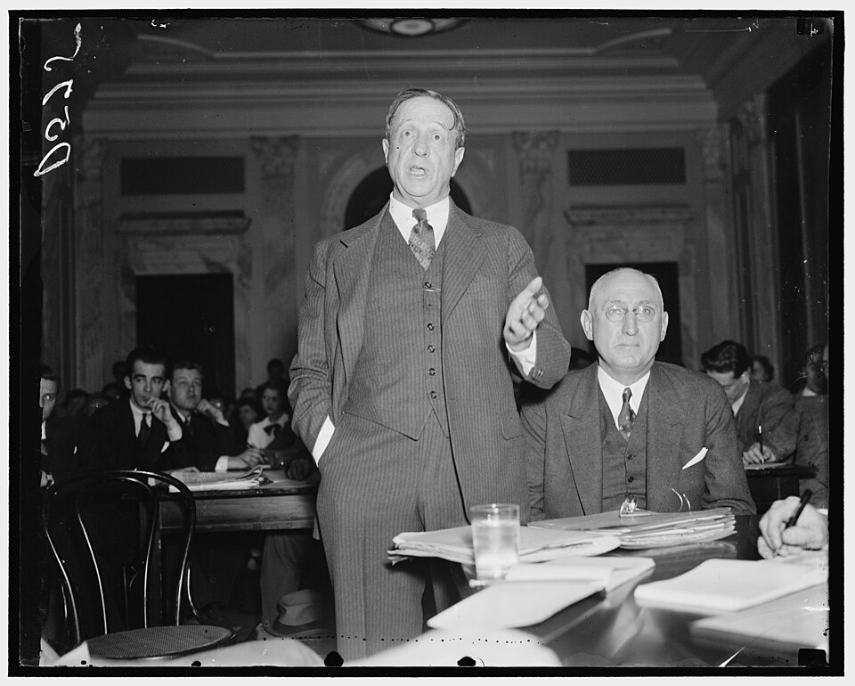 Illustration: Key Organizations and Ongoing Advocacy