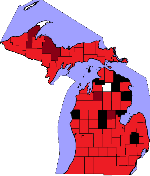 Illustration: Modern Electoral Reforms: Ranked-Choice Voting and Redistricting